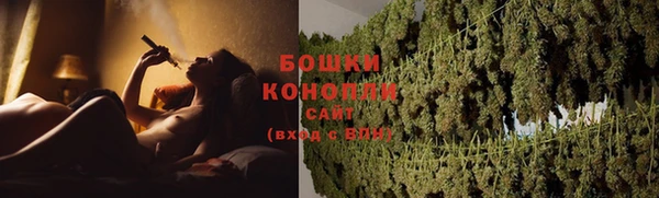 гидра Володарск
