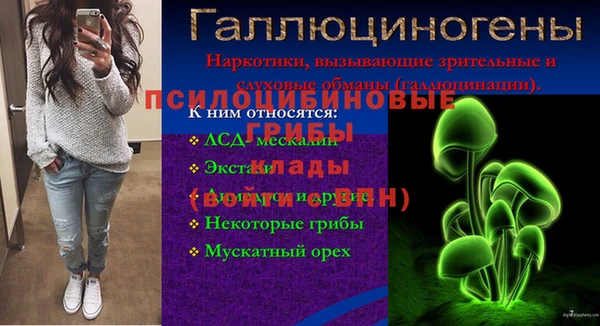 мдпв Волоколамск