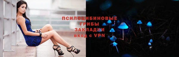 гидра Володарск