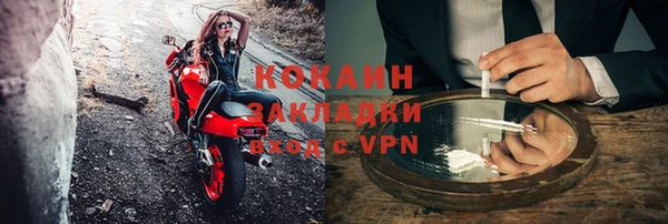 гидра Володарск