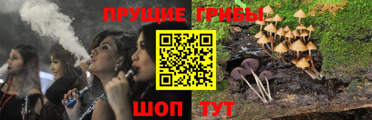 Псилоцибиновые грибы Psilocybine cubensis Воркута