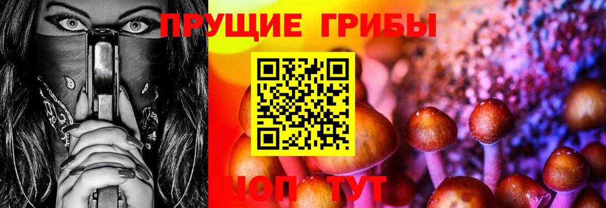 Галлюциногенные грибы GOLDEN TEACHER  Вход с VPN  хочу   Воркута  Галлюциногенные грибы Cubensis 